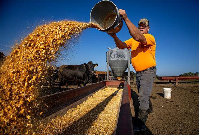 又输给了李成钢<strong></p>
<p>慈济全球资讯</strong>，贝森特承诺：美方不再考虑对华加征100%关税