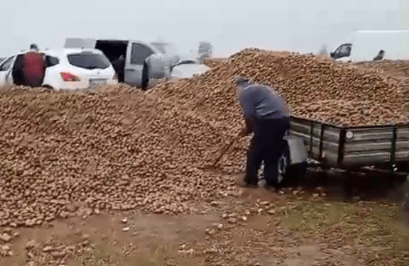 波兰68岁农民收获的150吨土豆被一夜搬空<strong></p>
<p>慈济全球资讯</strong>， 只因帖子遭篡改