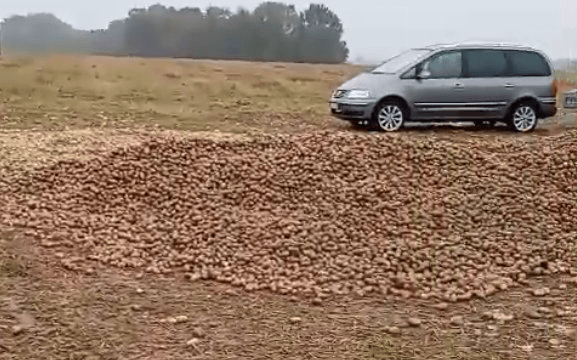 波兰68岁农民收获的150吨土豆被一夜搬空<strong></p>
<p>慈济全球资讯</strong>， 只因帖子遭篡改