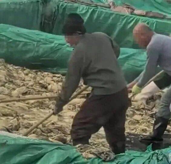 男子在酸菜池内抽烟吐痰<strong></p>
<p>电商资讯平台</strong>，官方通报！