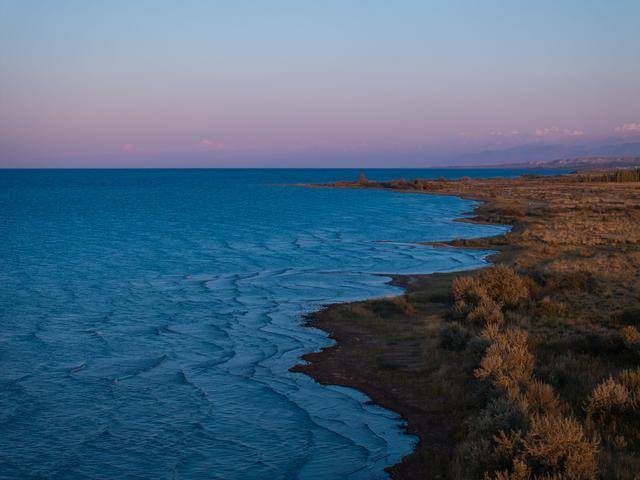 青年说 | 到中亚<strong></p>
<p>电商资讯平台</strong>，奔赴一场激动人心的“探秘”