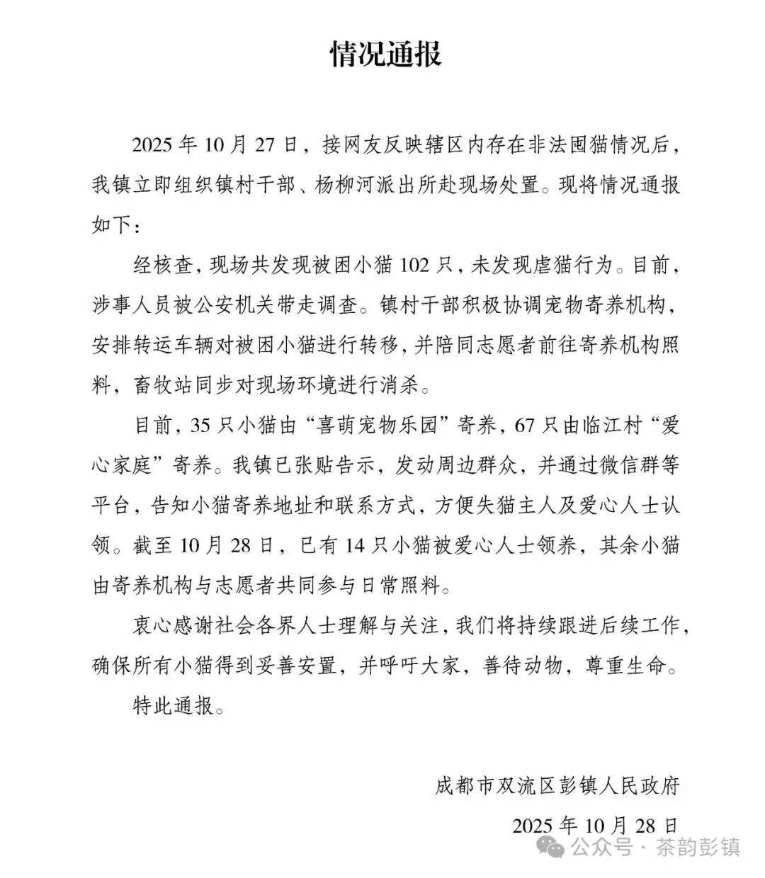 “成都一空置房非法囤猫”？官方通报：共发现被困小猫102只<strong></p>
<p>凯尔特人资讯</strong>，未发现虐猫行为