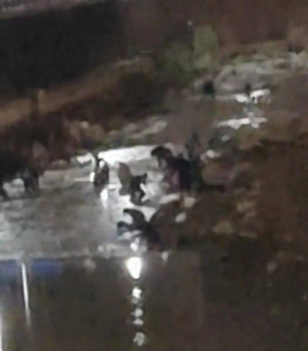 “一盆出5克多”<strong></p>
<p>dota2更新资讯</strong>，多人凌晨下河淘金！当地警方回应