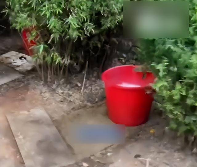 九江一公园摆3个尿桶供人露天小便<strong></p>
<p>下载一点资讯到桌面</strong>，不到百米外就有公厕