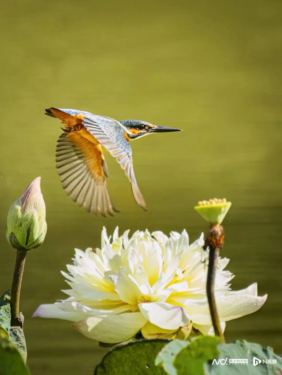 东莞最新发布：将严厉打击这些行为<strong></p>
<p>下载一点资讯到桌面</strong>！