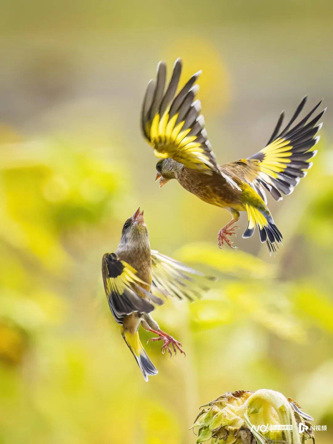 东莞最新发布：将严厉打击这些行为<strong></p>
<p>下载一点资讯到桌面</strong>！