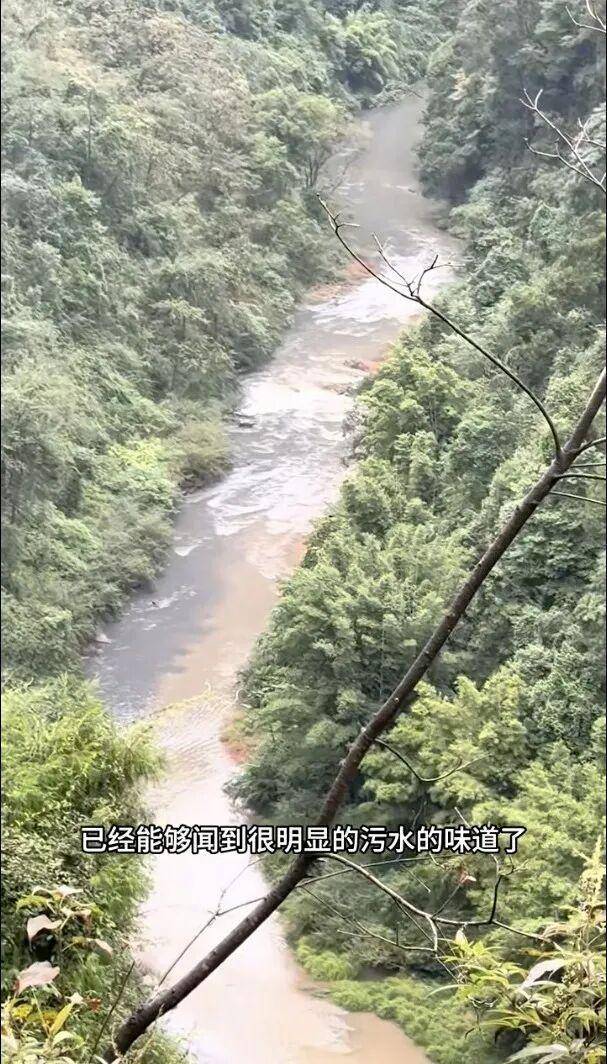 重庆通报：坚决查处<strong></p>
<p>灵通资讯电子版手机版</strong>，绝不姑息