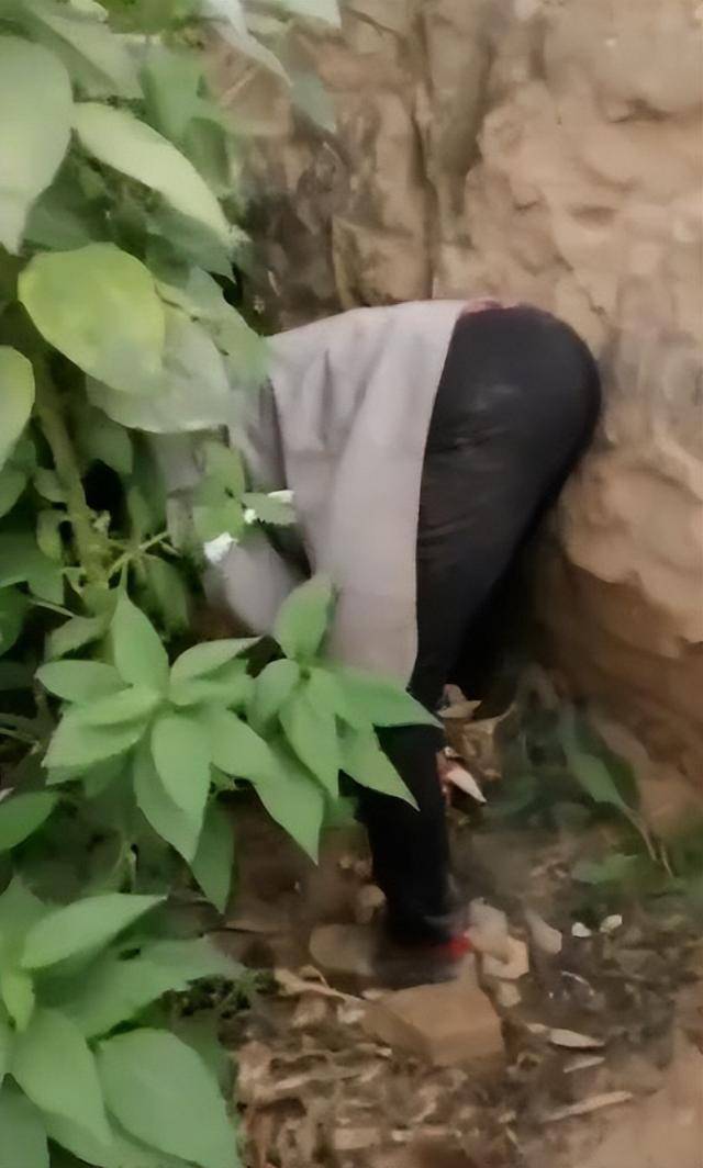 陕西一女子疑因拍亲姑姑偷玉米遭姑父棍杀<strong></p>
<p>苏州盈天地资讯科技有限公司</strong>，邻居欲报警也遇害