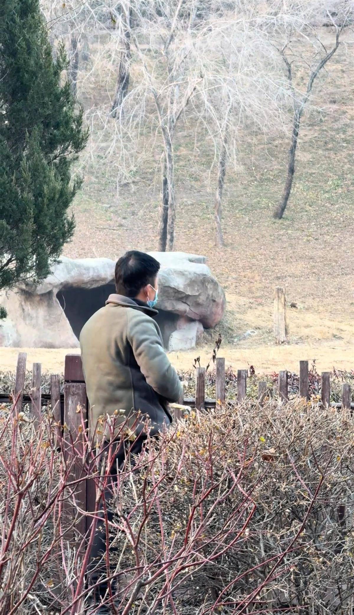 沈阳一男子动物园内用弹弓射老虎<strong></p>
<p>深圳市阿卡索资讯股份有限公司</strong>，目击者称其“填装了弹丸”，打完后老虎爬起来了，园方：正在核实情况