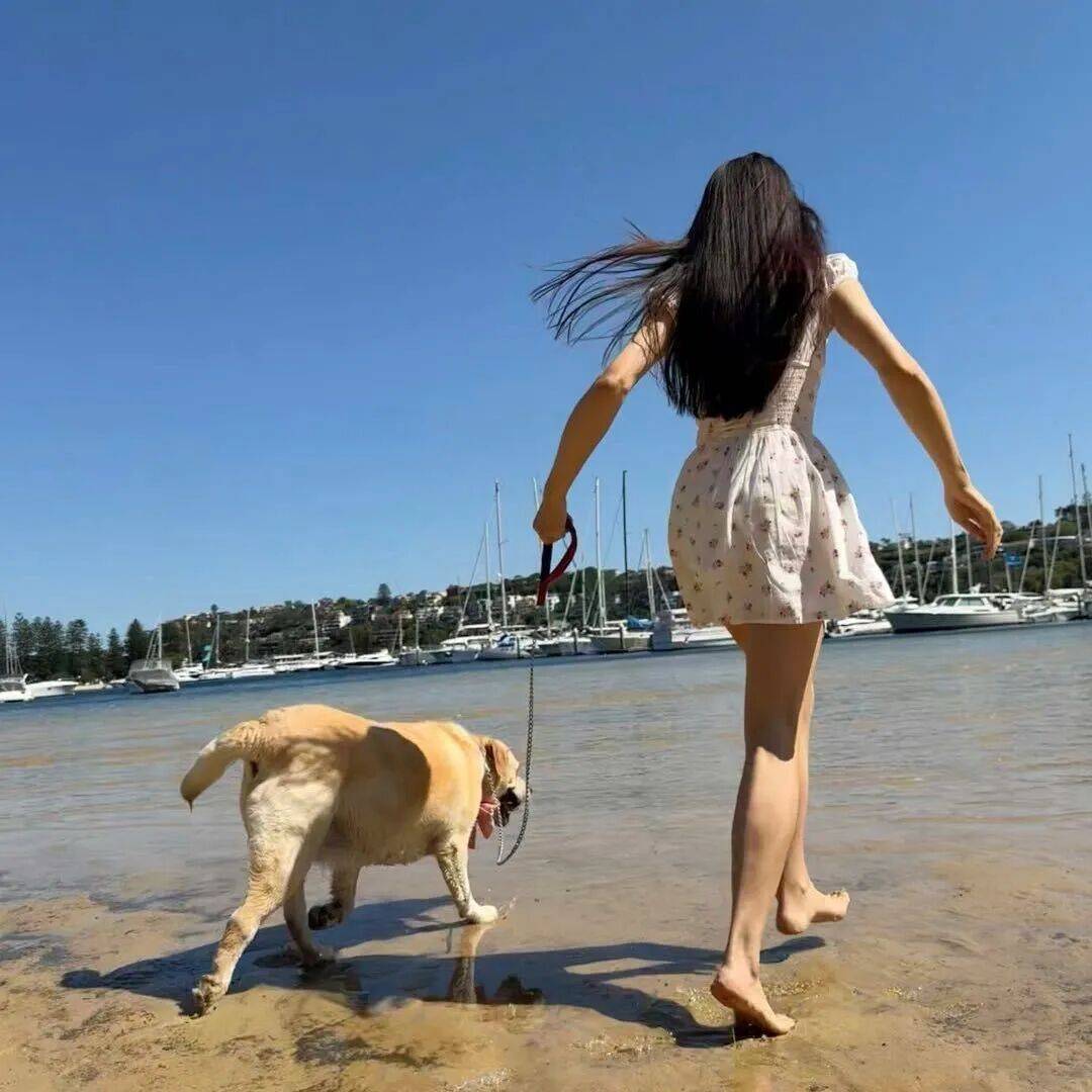 第一批丁克老后<strong></p>
<p>深圳市阿卡索资讯股份有限公司</strong>，“伴侣能陪一程，但最后都要靠自己”