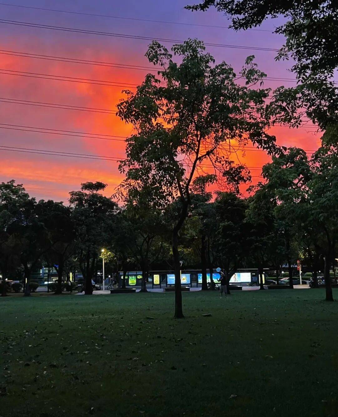 第一批丁克老后<strong></p>
<p>深圳市阿卡索资讯股份有限公司</strong>，“伴侣能陪一程，但最后都要靠自己”