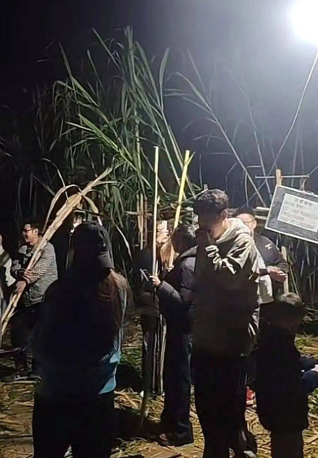 四川眉山“偷甘蔗农场”爆火！增设2.99元入场费后<strong></p>
<p>深圳市阿卡索资讯股份有限公司</strong>，地里仍来了上千游客，“偷甘蔗”被逮到的人要表演才艺，老板：日销售有时近万元