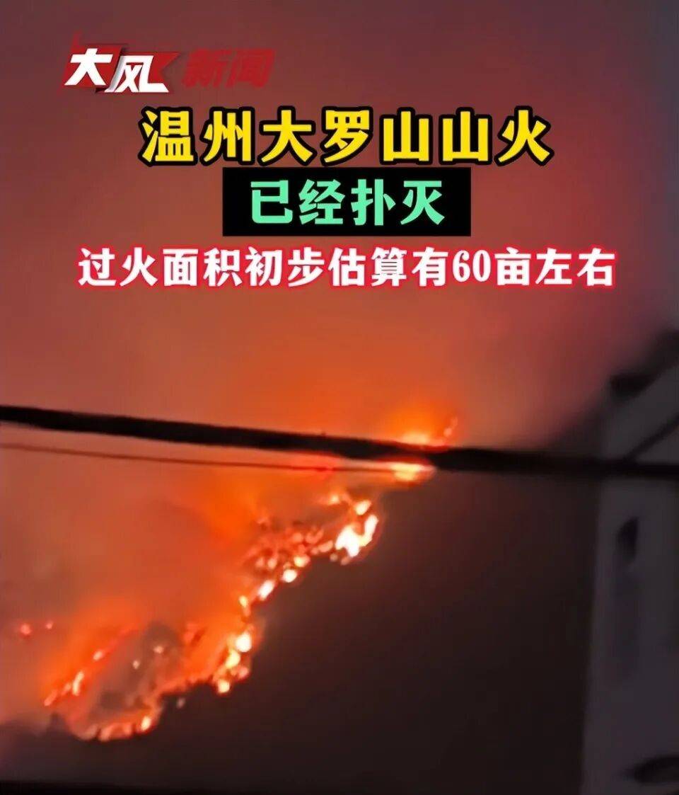 温州大罗山发生火情，“火势很大，一直持续到晚上”， 应急管理局：无人员伤亡，原因正在调查中