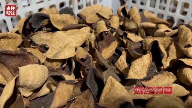 30天速成陈皮<strong></p>
<p>app资讯</strong>，成本仅70元，利润超成本10倍以上！央视起底陈皮跨省造假产业链