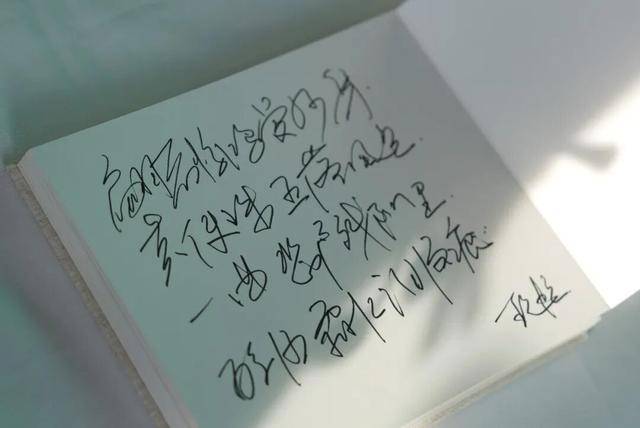 何晴之子追思：妈妈很喜欢雪<strong></p>
<p>app资讯</strong>，北京这场雪好像是为她而下