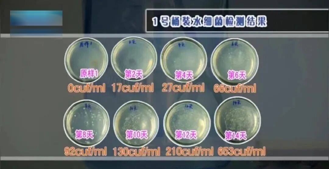 6种东西<strong></p>
<p>app资讯</strong>，没过保质期就“坏了”？赶紧看看，别拿全家健康开玩笑