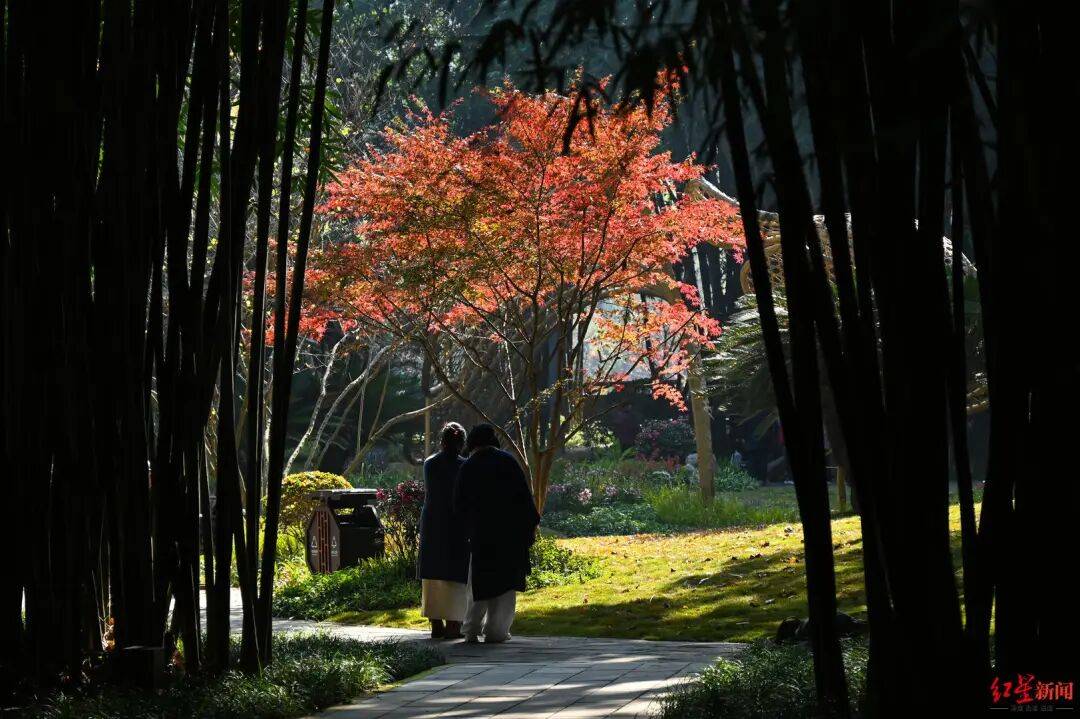 我国已进入拉尼娜状态<strong></p>
<p>资讯公司</strong>！四川今冬或“前暖后冷”