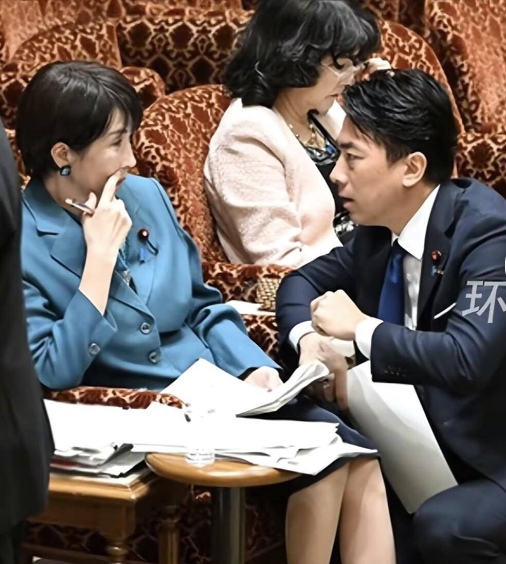 小泉进次郎跪地与高市早苗交谈<strong></p>
<p>资讯公司</strong>，企图为高市发声，遭在野党强烈嘘声