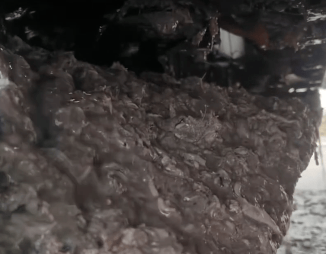 紫牛头条｜40余车辆遭高速海鲜废料“臭袭”<strong></p>
<p>公司资讯</strong>，交警称“非交通事故”，车主维权陷两难