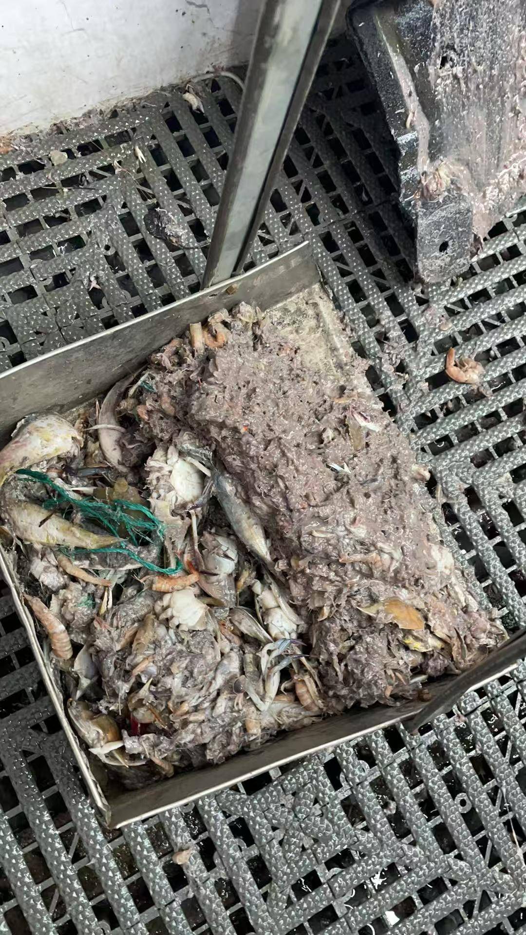 紫牛头条｜40余车辆遭高速海鲜废料“臭袭”<strong></p>
<p>公司资讯</strong>，交警称“非交通事故”，车主维权陷两难