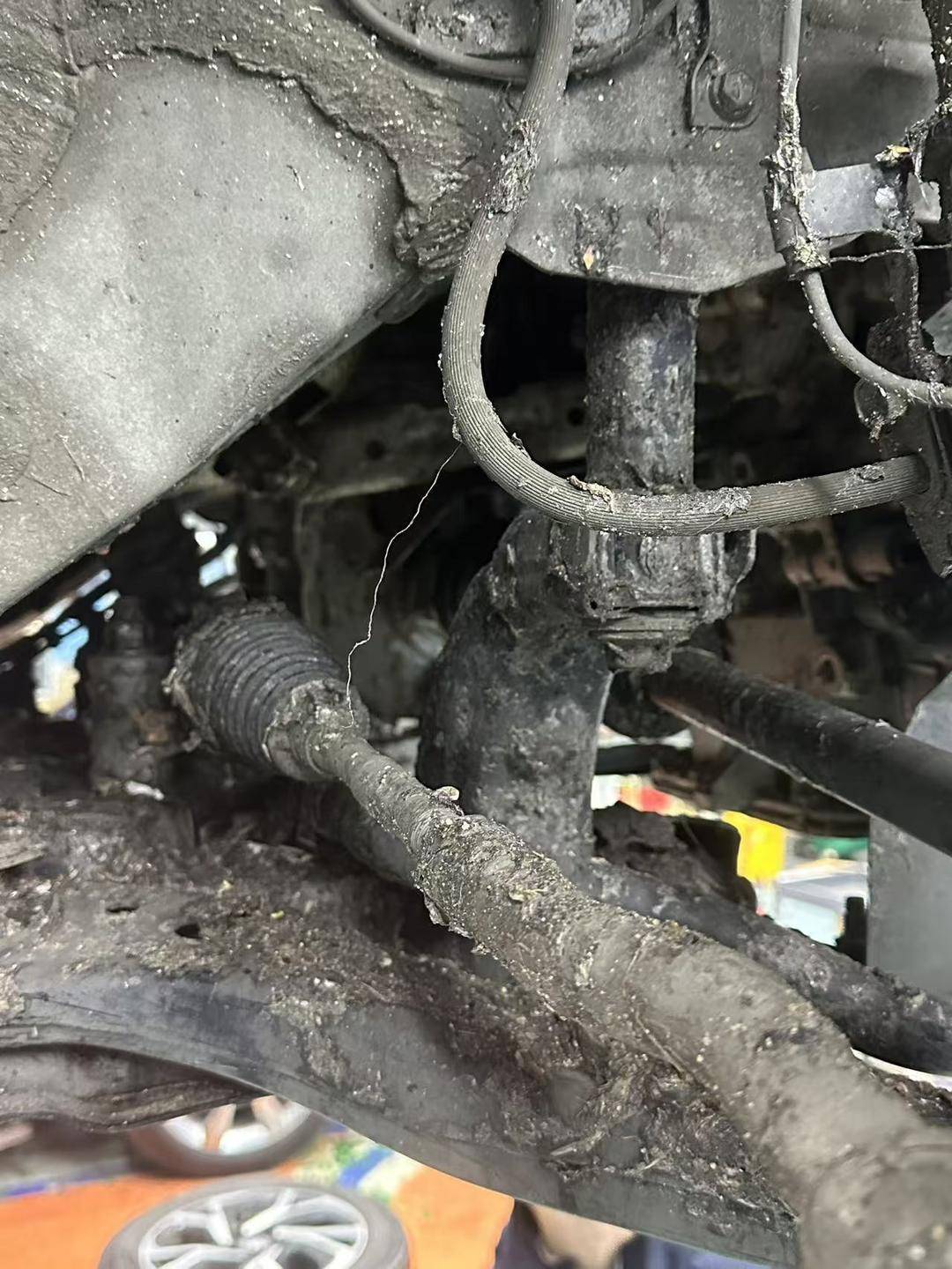 紫牛头条｜40余车辆遭高速海鲜废料“臭袭”<strong></p>
<p>公司资讯</strong>，交警称“非交通事故”，车主维权陷两难