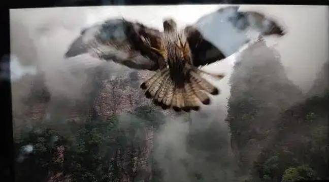 土耳其老鹰空中抓走无人机<strong></p>
<p>资讯新</strong>，带上山顶“玩自拍”