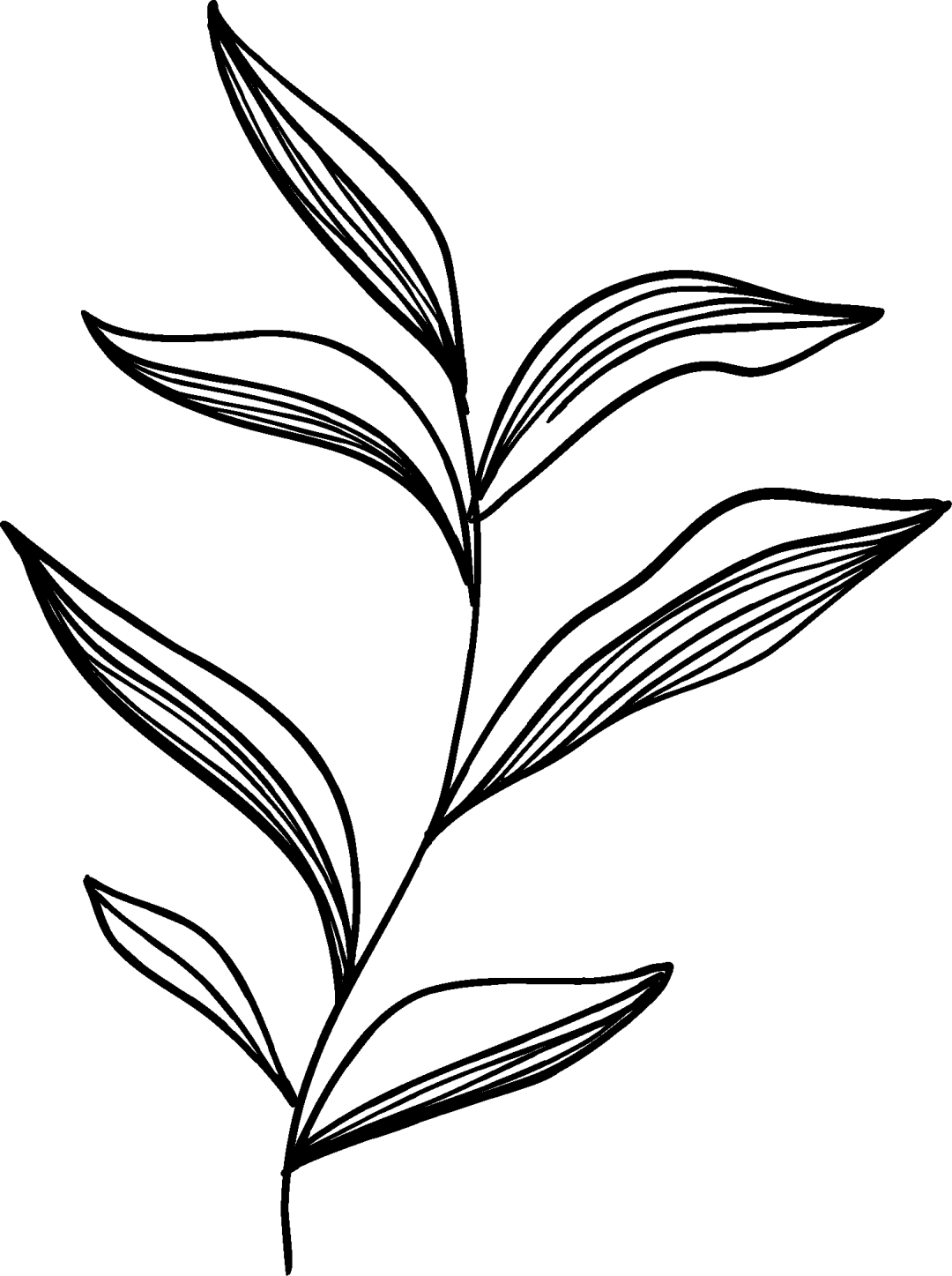 树山分馆限定 | 在竹林里<strong></p>
<p>资讯娱乐</strong>，细品22支咖啡豆的“风味之书”