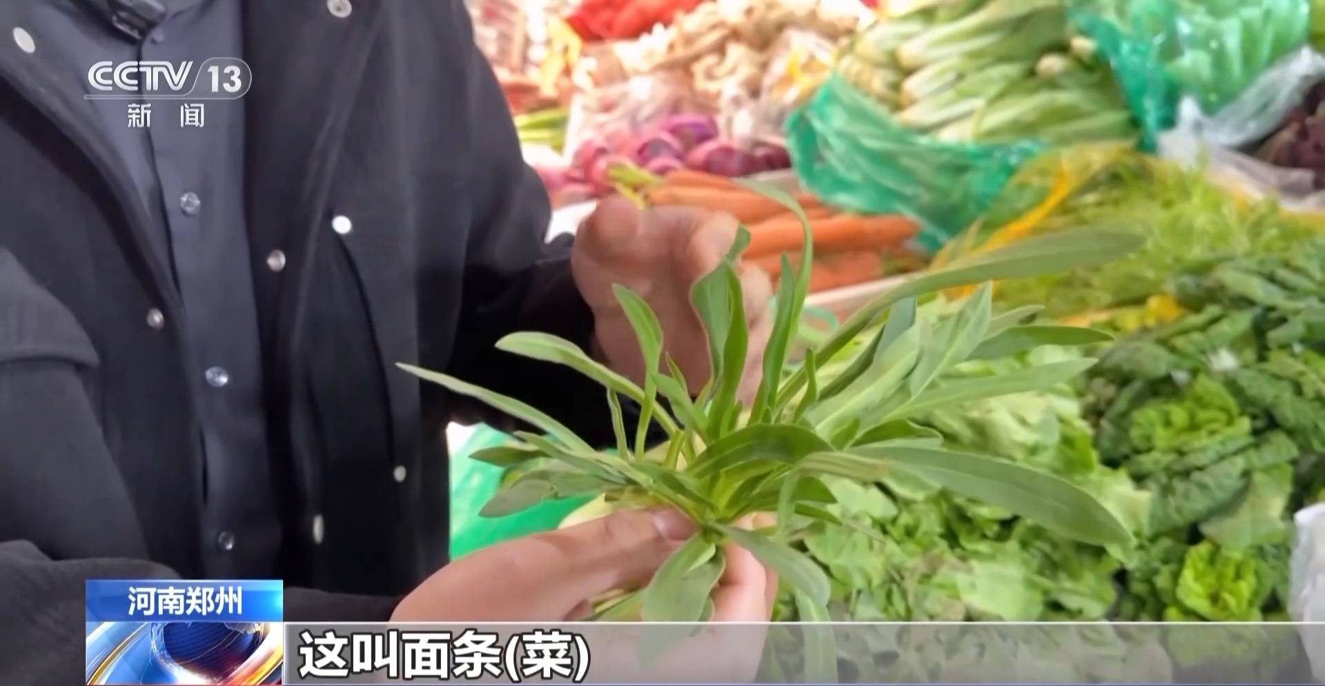 蒸、煎、拌、酿……一口鲜菜如何“锁”住春天<strong></p>
<p>怎么关闭资讯</strong>？