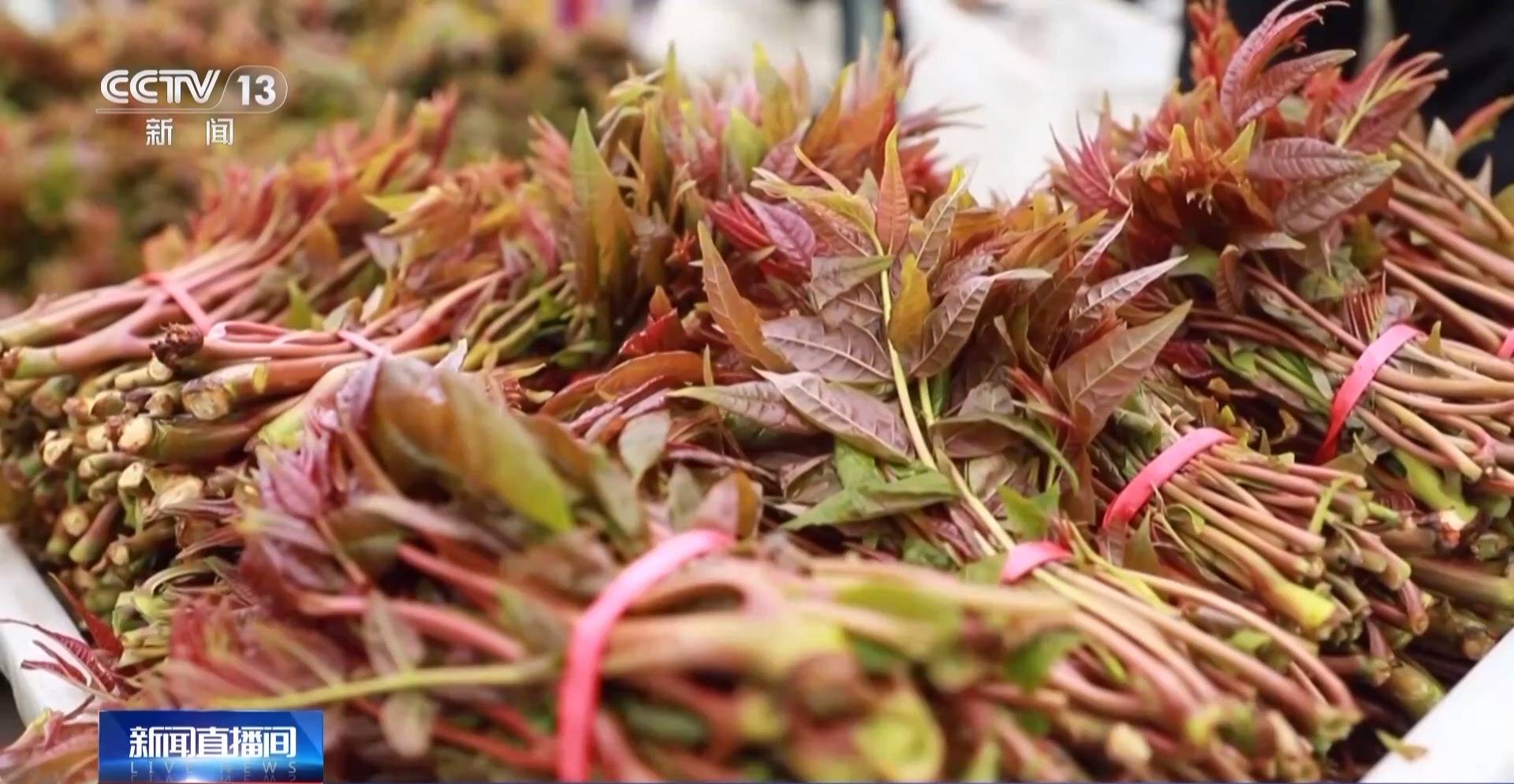 蒸、煎、拌、酿……一口鲜菜如何“锁”住春天<strong></p>
<p>怎么关闭资讯</strong>？