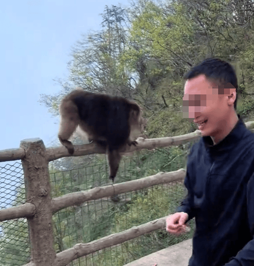猛推峨眉山猴子的男子已致歉<strong></p>
<p>疫情资讯</strong>，三年内禁止进入景区！猴子没事